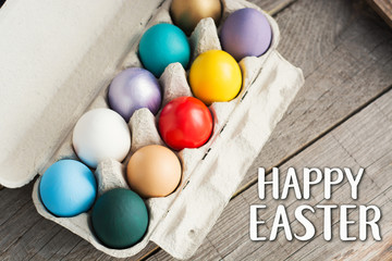 Happy Easter card -Easter eggs in egg tray, young wheat sprouts from the shell	 