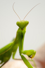 I've got my eyes on you