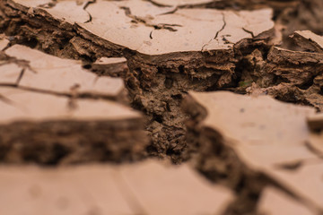 Deep cracks earth in the red land as a symbol of hot climate and drought.