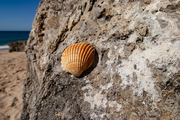 Rocks on the beach