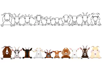 Fotobehang various goats heads border set © Studio Ayutaka