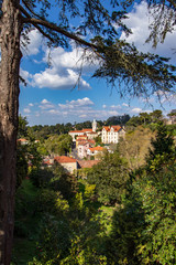 houses and buildings with their architecture