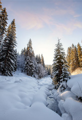 Obraz premium Wonderful winter landscape. snowcovered pine tree under sunlight. overcast colorful clouds, glowing in sunlight. christmas holiday concept. picturesque amazing scene. wintry sunny day. postcard.
