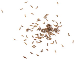 Cumin, caraway seeds isolated on white background, top view