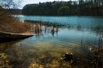 Brzeg jezioro staw © Micha
