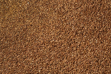 Background of buckwheat. The texture of the buckwheat.