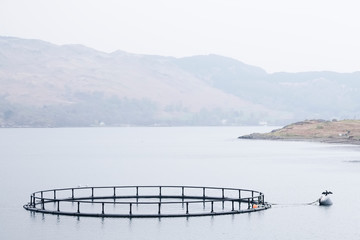 Fish farm salmon nets cages floats in sea water coast environment organic farming at Loch Melfort...