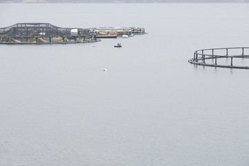 Fish farm salmon nets cages floats in sea water coast environment organic farming at Loch Melfort...