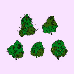 Set of inflorescence hemp. Marijuana. Vector illustration.