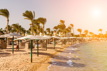 Picturesque views of the tropical beach with palm trees, parasols and sunbeds