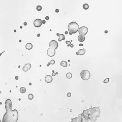 Silver, gray wet abstract paint leaks and splashes texture on white watercolor paper background. Natural organic shapes and design.