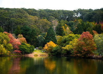 Fototapeta premium autumn landscape with lake and trees