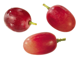 Rote Weintrauben