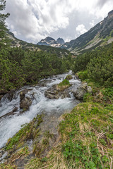 Fototapeta na wymiar Landscape with Malyovitsa peak and Malyoviska river, Rila Mountain, Bulgaria