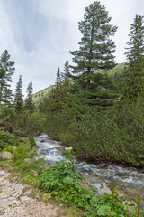 Obraz premium Landscape from hiking trail for Malyovitsa peak, Rila Mountain, Bulgaria