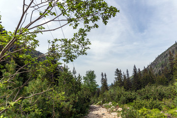 Landscape from hiking trail for Malyovitsa peak, Rila Mountain, Bulgaria