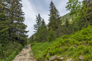 Fototapeta na wymiar Landscape from hiking trail for Malyovitsa peak, Rila Mountain, Bulgaria