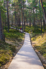 Boardwalk through the dunes to the coast of the Gulf of Riga.