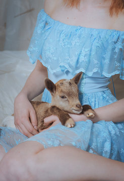 chica con cabrita bebé en sus manos , tierna cria de animal bebe cabra