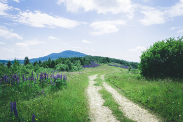 Panorama of the mountains