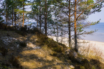 Sandy coast of Baltic sea in the Gulf of Riga, Latvia.