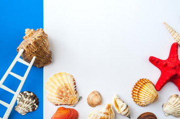 Sheet of white office paper on a blue background surrounded by seashells
