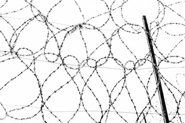 Steel strands of rolled barbed wire on the fence of the prison against the gray sky