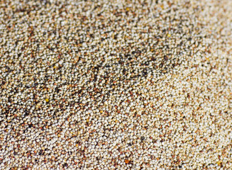 Local market with spices and grains in Lalibela, Ethiopia February 2019