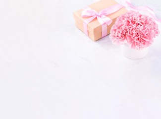 Copy space, close up, mock up, clipping path. Mothers day wording concept design. Beautiful fresh blooming baby pink color carnations isolated on bright marble background.