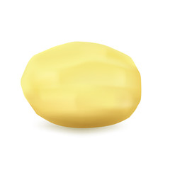 Peeled potatoes on a white background, vector.