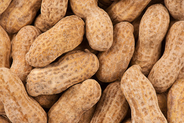Close up on stack of peanuts as abstract background. Copy space for your text.