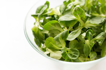 Fresh green Corn salad leaves or lamb's lettuce in bowl. Top view, lamb's lettuce isolated on white background