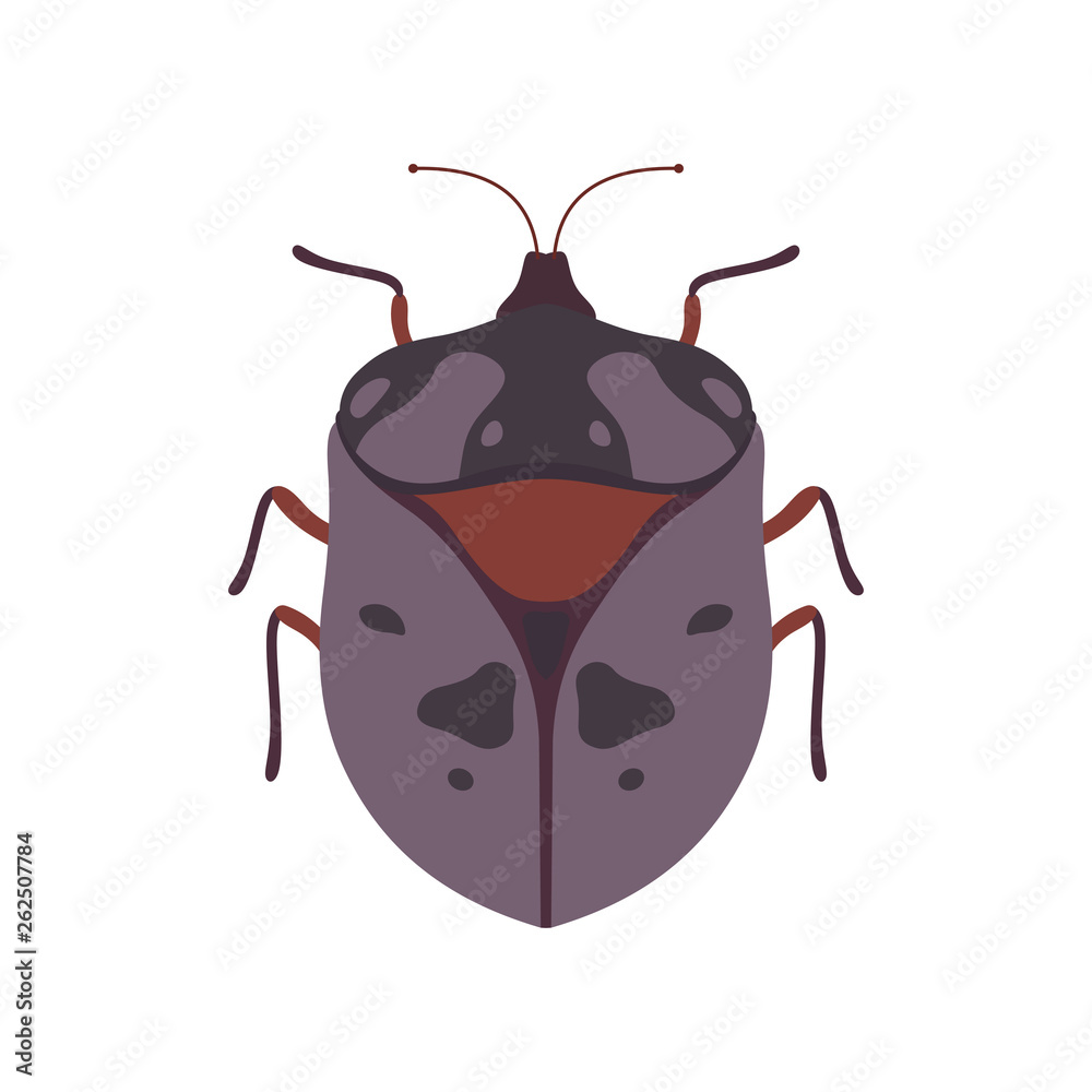 Sticker bug beetle insect species top view vector illustration