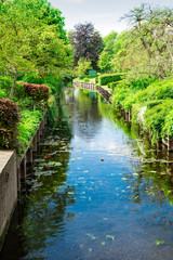 Fototapeta na wymiar green gardens and ditch, canal, in Drimmelen, The Netherlands