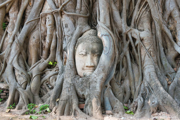 Ayutthaya, Thailand - Apr 10 2018: The head of Buddha in WAT MAHATHAT in Ayutthaya, Thailand. It is part of the World Heritage Site - Historic City of Ayutthaya.