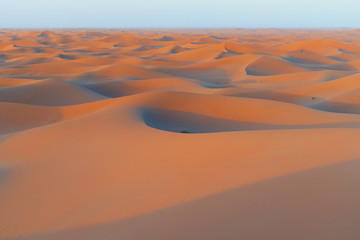Obraz na płótnie Canvas Sunrise on sand dunes, Sahara Sand dunes africa morocco