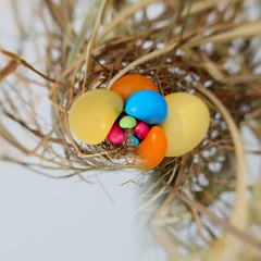 colorful easter eggs in a nest