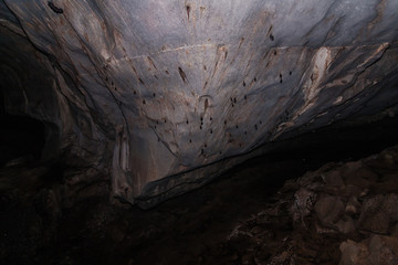 Inside of the Wind Cave near Kuching, Sarawak, Borneo