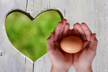 Egg in hands on wooden background with green heart