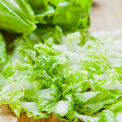 Romaine Lettuce -  green healthy salad ingredient.