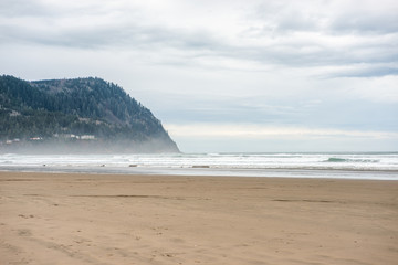 Pacific Northwest Beach
