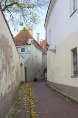 Fototapeta na wymiar Narrow street in the Old Town of Vilnius. Lithuania