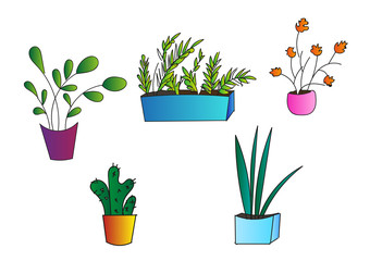 Set home flower in pot vector object element decoration illustration collection