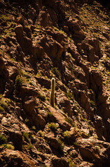 Fototapeta premium Travel to Santiago and Atacama Desert