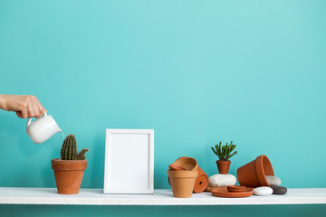 Fototapeta na wymiar White shelf against pastel turquoise wall with pottery and succulent plant. Hand watering potted cactus plant.