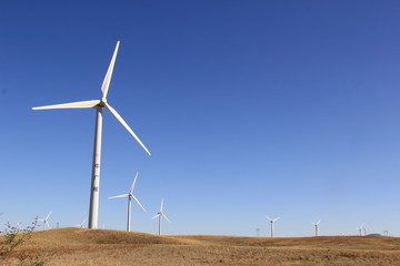 wind turbines in the field