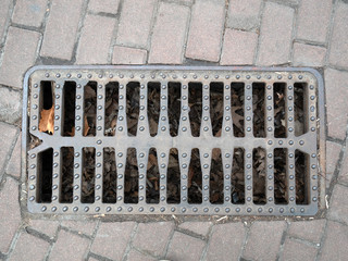 closeup metallic grid of sewage drainage system on a sidewalk. view from top with lot of fallen leaves foliage under hatch