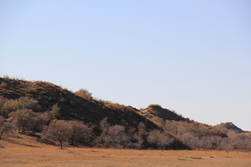 view of the desert