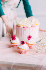 delicious cake and cupcakes in a beautiful decor makes pastry chef