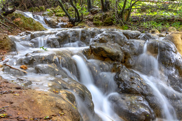 Small cascades of waterfalls on a mountain stream in the spring. Parod River. Israel